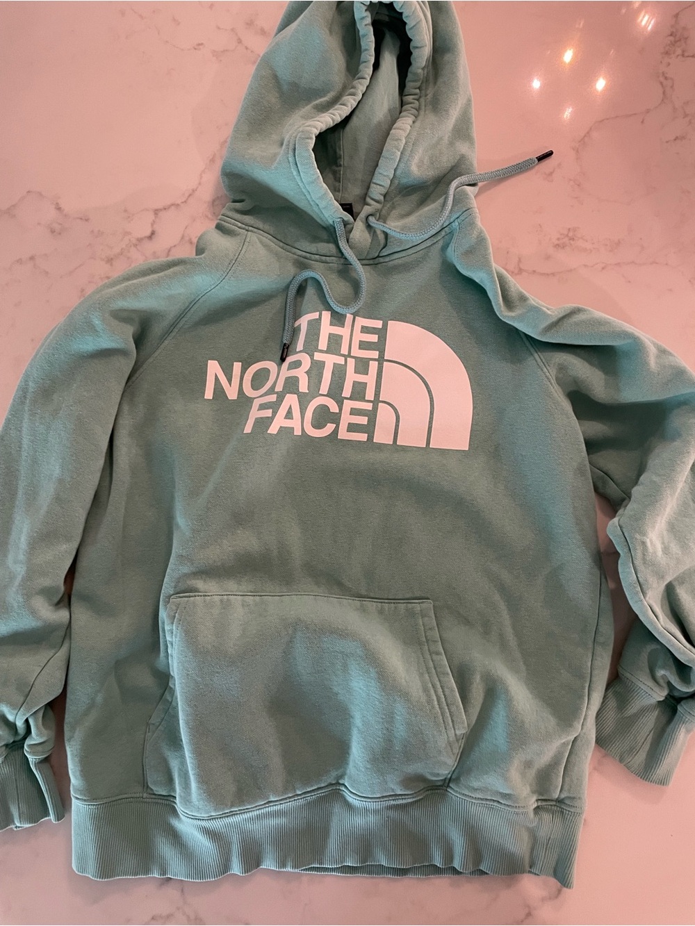 The North Face Crewneck Hoodie in Seafoam Green with White Logo